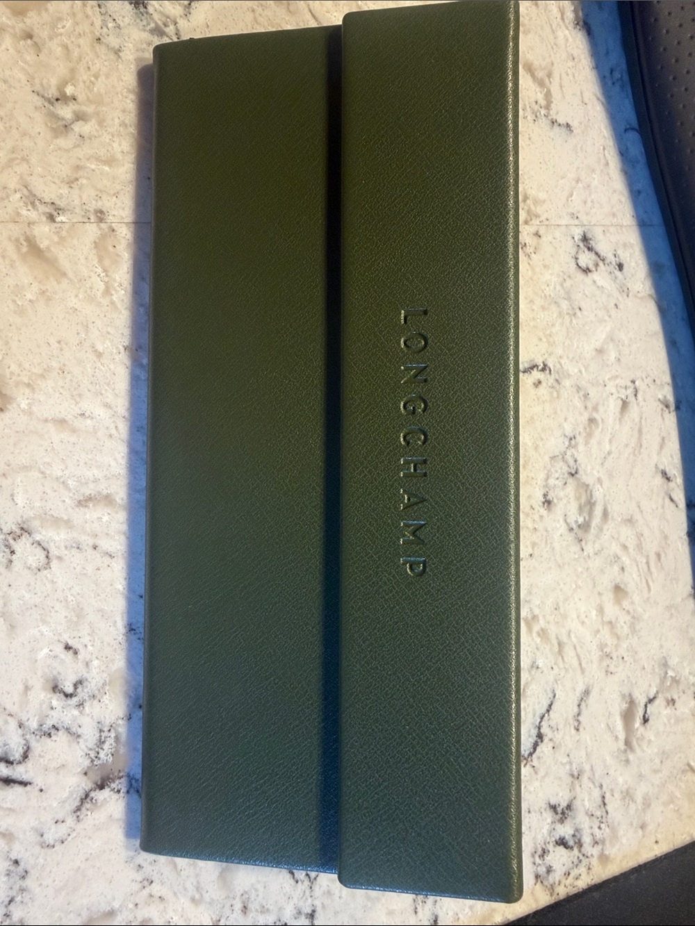 Longchamp Olive Green Eyewear Case with Embossed Logo